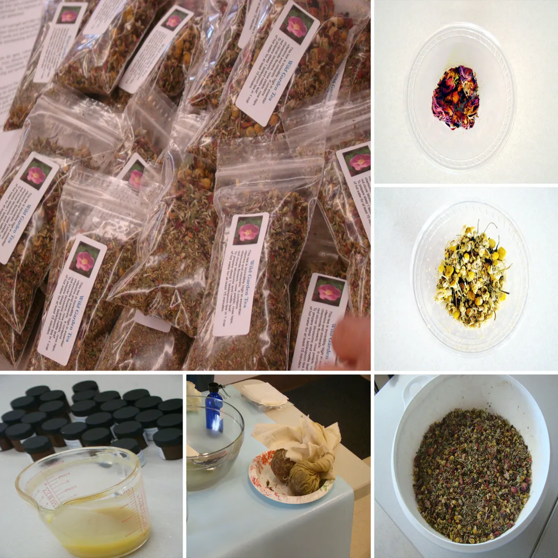 Collage of Medicine Making Workshop 1