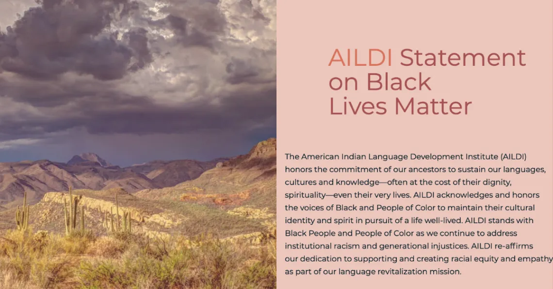 AILDI Statement on Black Lives Matter