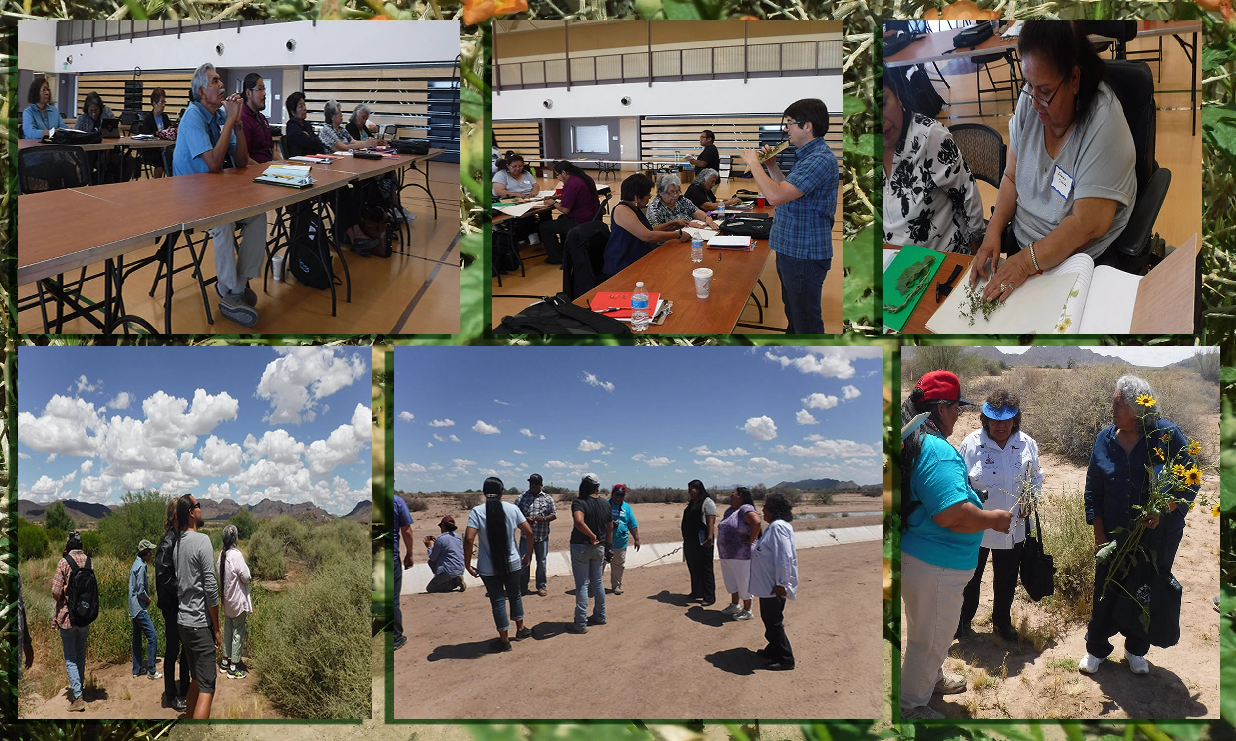 Collage of Recording Traditional Talk: Land, Plant & Animal Restoration photo